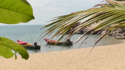 Beach Stock Footage 112351113