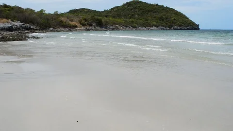 Beach Stock Footage 115563087