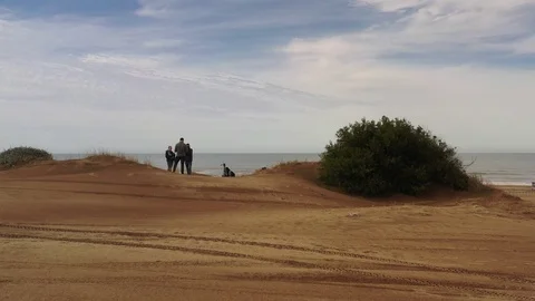 Beach  Stock Footage 116821596