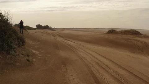 Beach Stock Footage 116822551