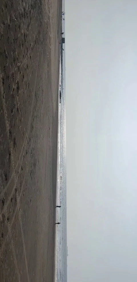 Beach Stock Footage 119510148