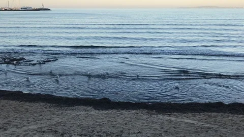 This is the beach Stock Footage 123298258