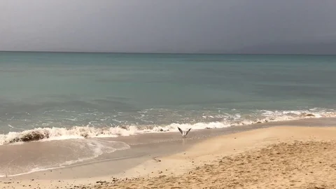 This is the beach Stock Footage 128132418