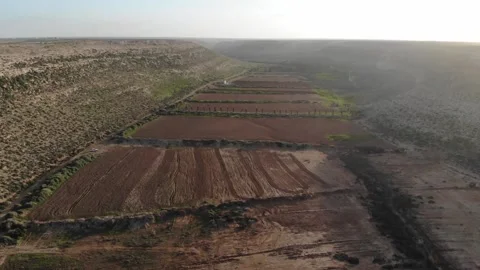 Beach Stock Footage 134333744