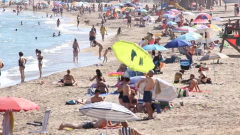 On the Beach Stock Footage 135450198
