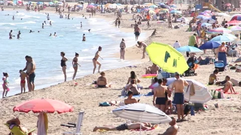 On the Beach Stock Footage 135450199