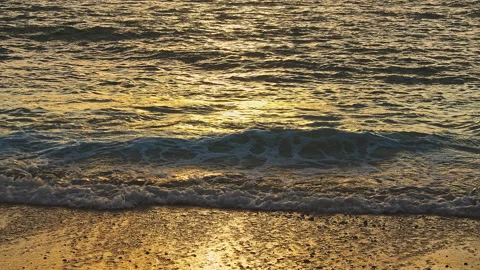 Beach Stock Footage 137807089