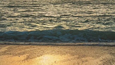 Beach Stock Footage 137830407