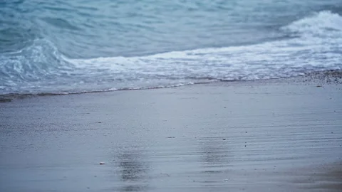 Beach Stock Footage 137867783