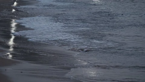 Beach Stock Footage 137883565