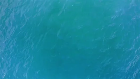Beach Stock Footage 137966177