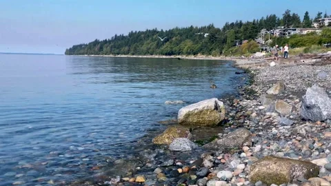 Beach Stock Footage 139017542