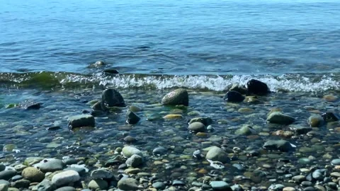 Beach Stock Footage 139017549