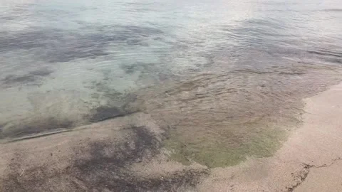 The beach Stock Footage 139988059