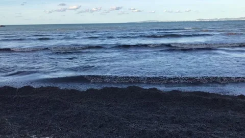 This is the beach Stock Footage 142581845