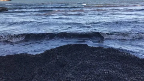 This is the beach Stock Footage 142581846