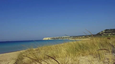 Beach Stock Footage 145280524