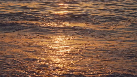 Beach Stock Footage 156982007