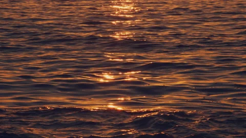 Beach Stock Footage 156984080