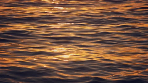 Beach Stock Footage 156984691
