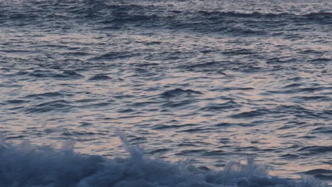 Beach Stock Footage 156996476
