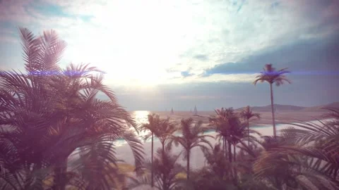 Beach Stock Footage 166539810