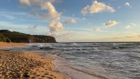 Beach 库存影片 169732936