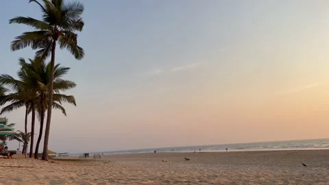 By the beach Stock-Footage 176490640