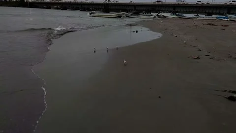 Beach Video stock 187307353