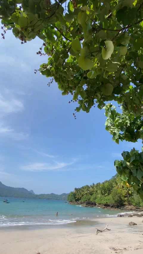 Beach Video stock 198159723