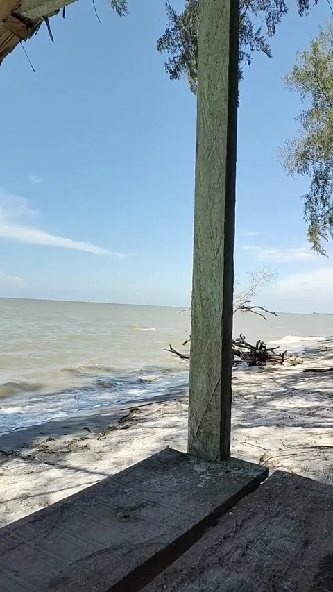 Beach 스톡 동영상 203885704