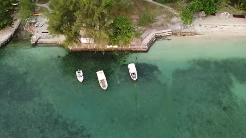 Beach Stock Footage 205210005