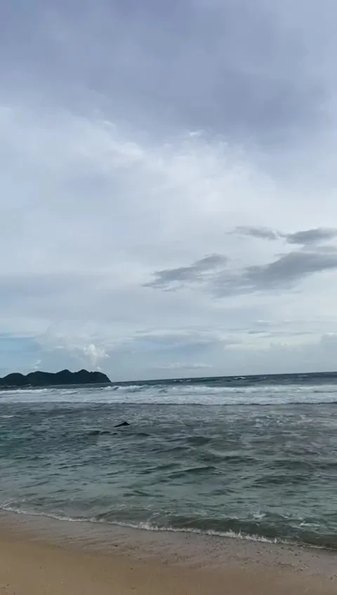 Beach 動画素材 205997871