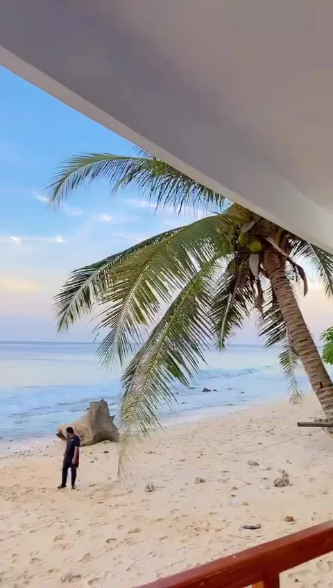 Beach 動画素材 206061509