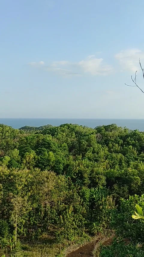 Beach Stock Footage 208382302