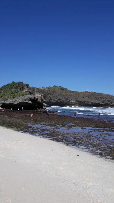 Beach Stock Footage 208589030