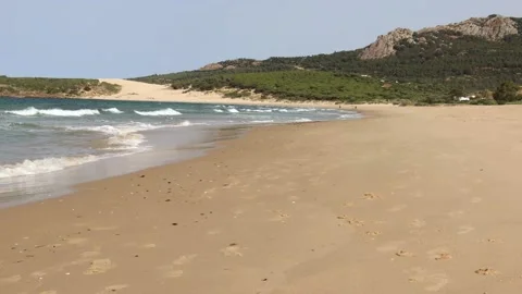 Beach 스톡 동영상 208863185