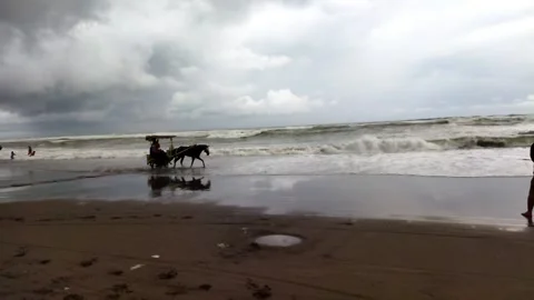 Beach Video stock 208910487