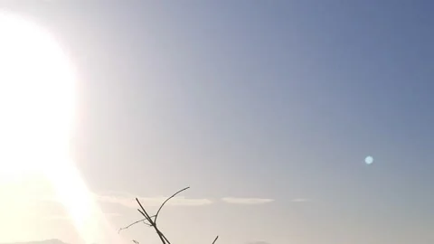 Beach Vidéo 212009718