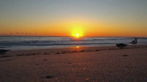 Beach 库存影片 212660497