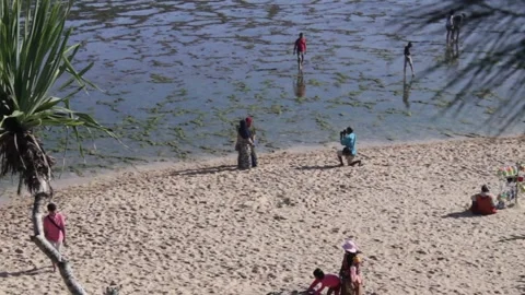 Beach Stock Footage 218275291