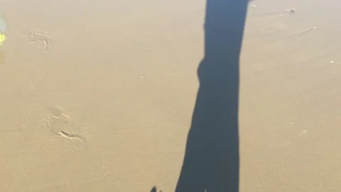 Beach Stock Footage 218368834