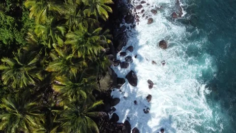 Beach Video stock 226101331