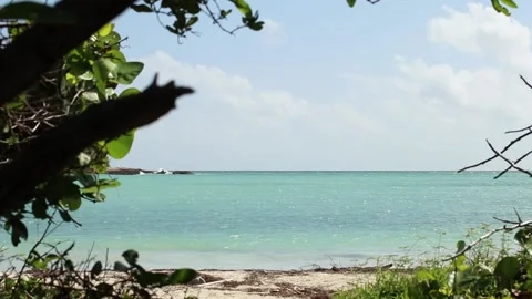 Beach Stock Footage 231539488