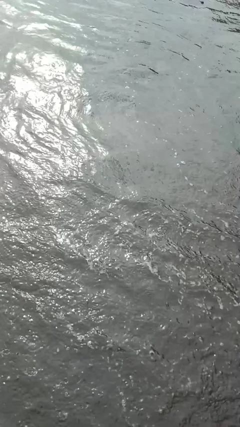 Beach Stock Footage 232363923