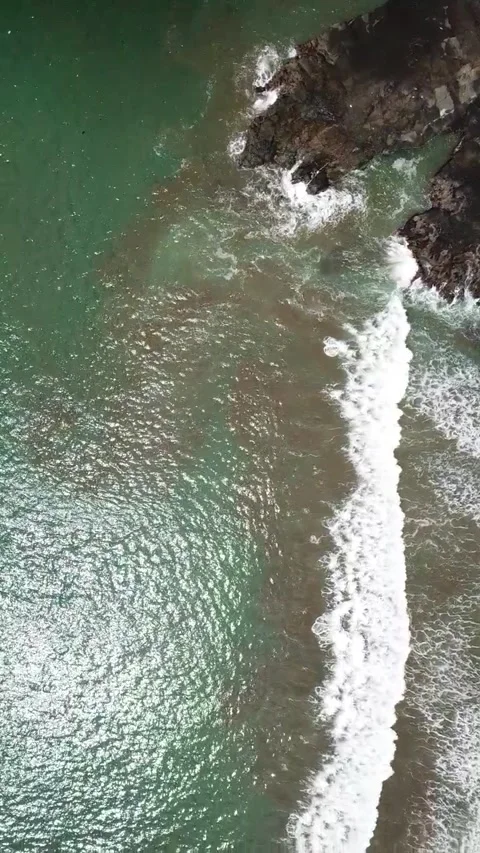 Beach 動画素材 236008886