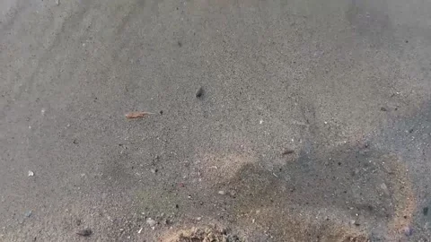 Beach Stock Footage 238030878