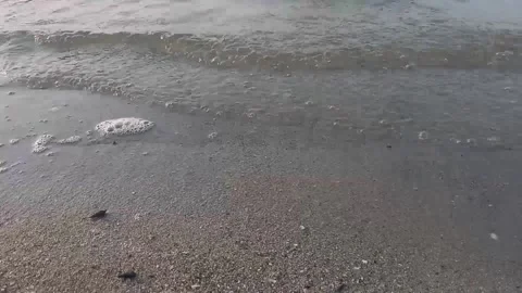 Beach Stock Footage 238031531