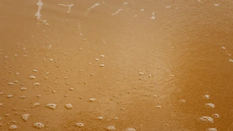 Beach Stock Footage 238036706