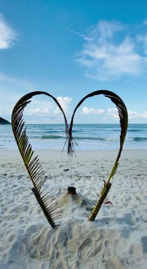Beach Stock Footage 242225111